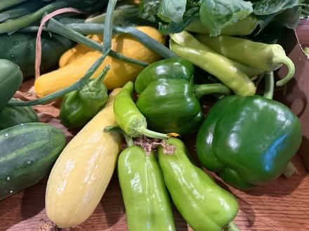 Photo of free Fresh organic vegetables (Fair Lawn, NJ) #4