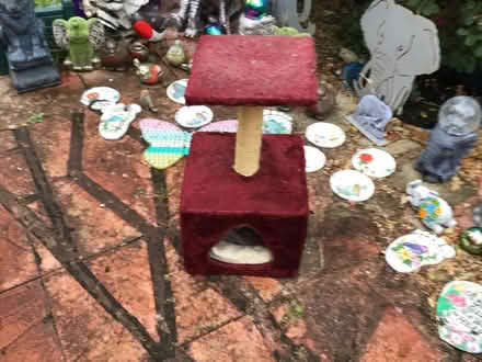 Photo of free Square cat bed (Farnborough Hampshire GU14) #1
