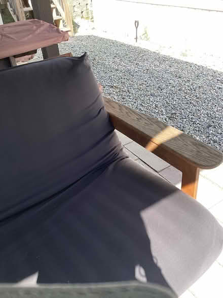 Photo of free Full size futon (at TotemPole park) #4