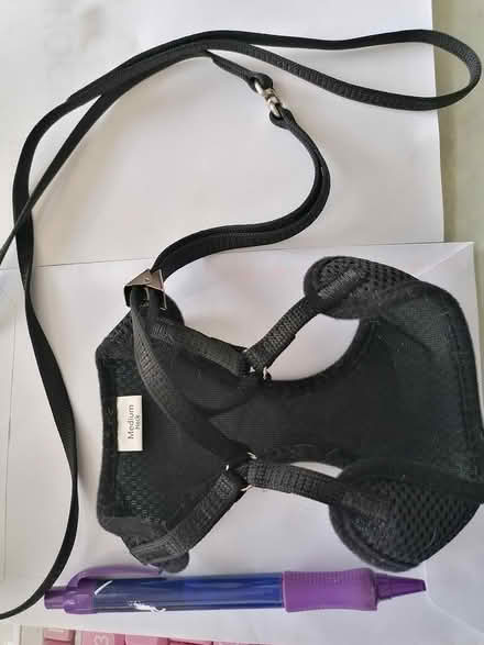 Photo of free Cat / Dog harness with leash (Booterstown) #1