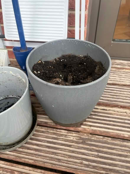 Photo of free Pots (Nine Elms) #1