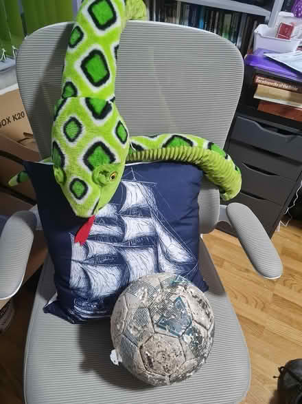 Photo of free Furry Toys Footballs Toys For Dogs (Portadown Craigavon) #3