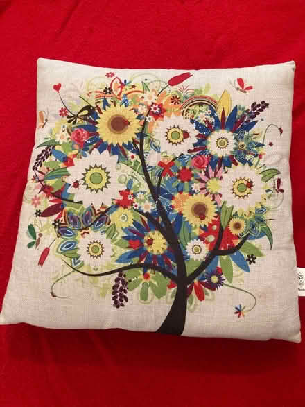 Photo of free Cushions (Willingdon BN22) #3