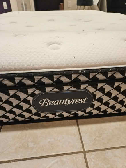 Photo of free Queen Mattress (pee'd on & cleaned) (Mooney's bay) #2