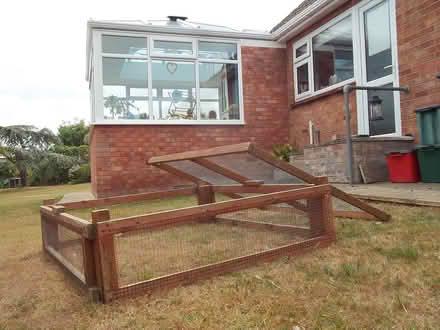 Photo of free Garden run for guinea pigs (clacton on sea, CO15) #2