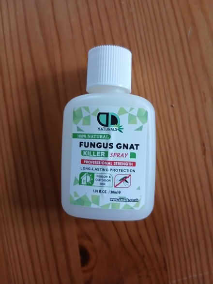 Photo of free Fungus gnat killer (Evercreech BA4) #1