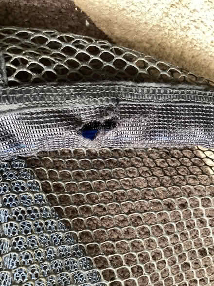 Photo of free Fishing landing net (Forest Hill OX33) #4