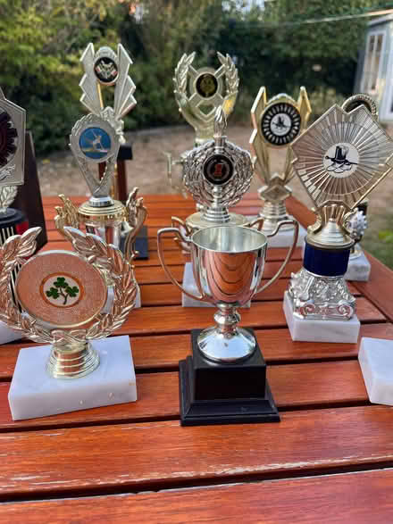Photo of free Trophies (Chilton OX11) #3