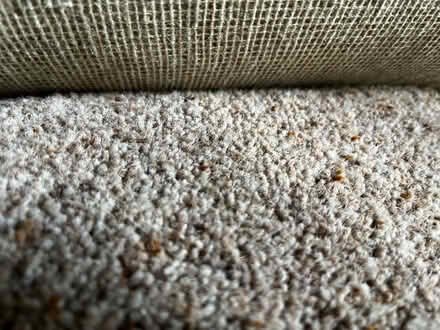 Photo of free Good quality beige carpet (Locks heath SO31) #1