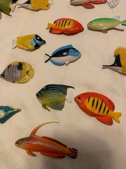 Photo of free Rubber Fish (Park Forest IL) #3