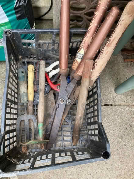 Photo of free Gardening items (Chapel-en-le-Frith SK23) #4