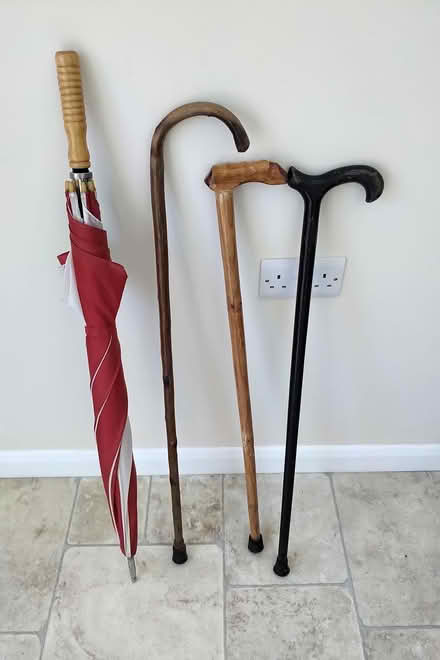 Photo of free Umbrella & 3 wooden walking sticks (Belper DE56) #1