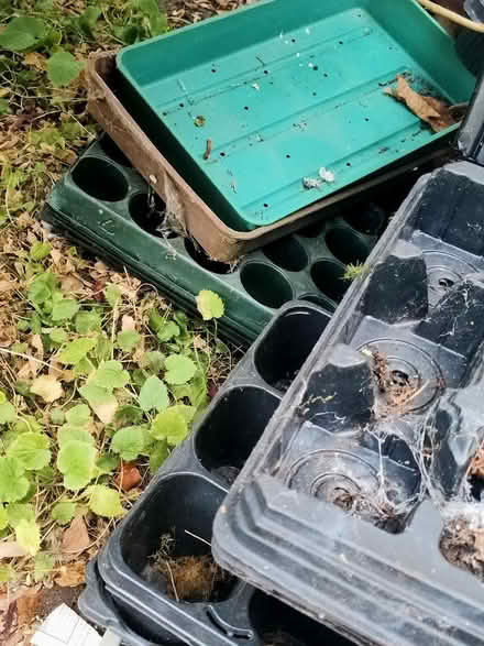Photo of free Plastic plant pots and seed trays various sizes and colours (Leatherhead KT22) #3