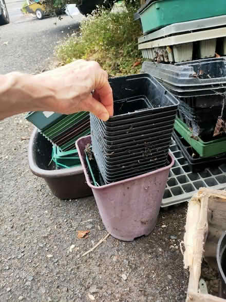 Photo of free Plastic plant pots and seed trays various sizes and colours (Leatherhead KT22) #2