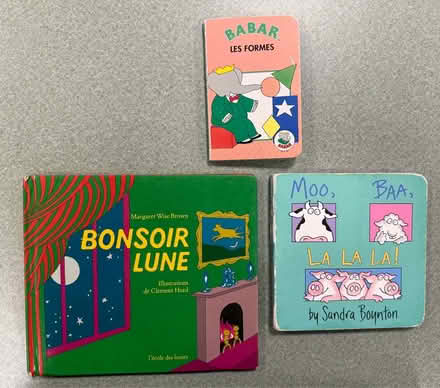 Photo of free Child’s books in English & French (1075 Valencia Avenue) #1