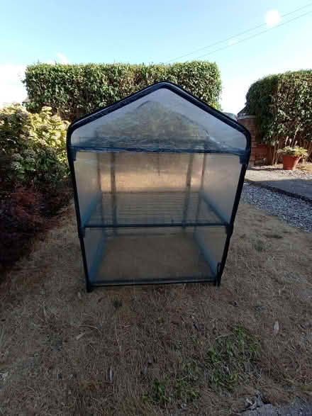 Photo of free Tomato greenhouse (Church RG2) #1