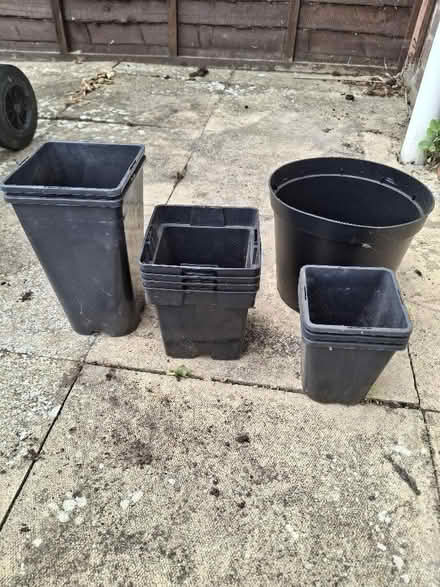 Photo of free Plant pots (Witham CM8) #1