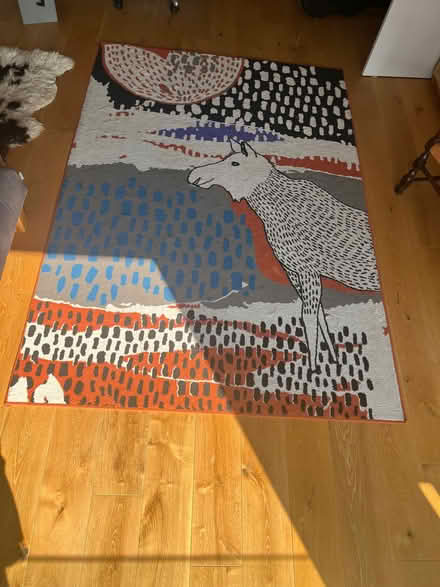 Photo of free IKEA Moborg rug 233cm x 160cm (Chiswick W4) #1