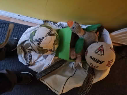 Photo of free Furry Toys Footballs Toys For Dogs (Portadown Craigavon) #2