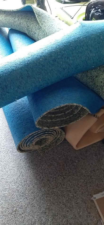 Photo of free Carpet underpad (Hiawatha Park) #1