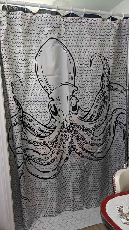 Photo of free Octopus Shower Curtain (Leimert Park) #1