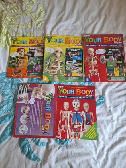 Photo of free How your body works magazines (Forestgreen GL6) #1