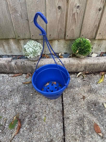 Photo of free Hanging basket (Westbury Wilts BA13) #1