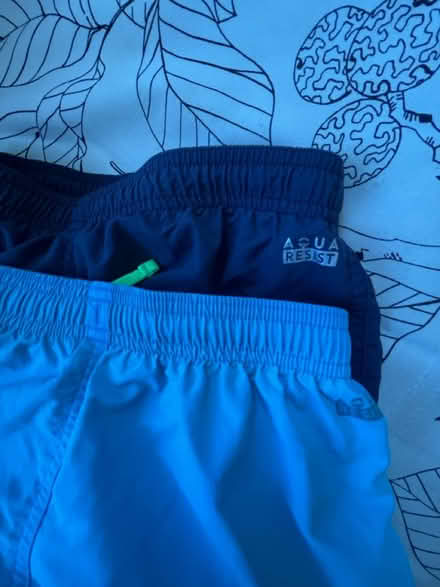 Photo of free Swimming shorts (Kelvindale G12) #1
