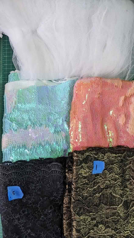 Photo of free Sequin and Net fabrics (Leimert Park) #1