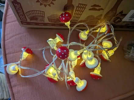 Photo of free Mushroom fairy lights (St Pauls BS2) #2