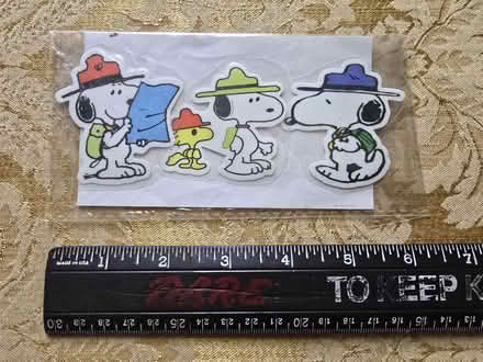 Photo of free Snoopy/Peanuts Magnets (West 7th) #2