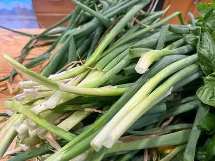 Photo of free Fresh organic vegetables (Fair Lawn, NJ) #3