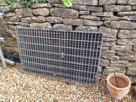 Photo of free Large dog cage (Chalford Hill GL6) #1