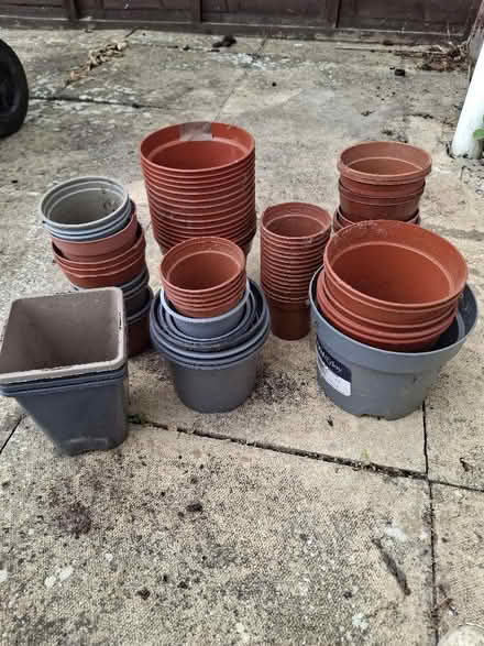 Photo of free Plant pots (Witham CM8) #1
