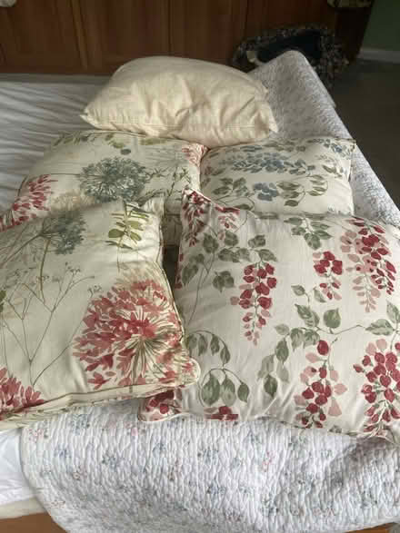Photo of free Various cushions (Loose, Maidstone ME15) #1