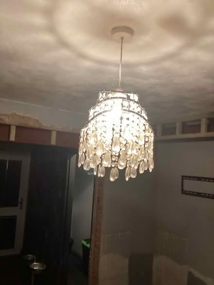 Photo of free Ceiling light shade (Hatfield, AL10) #2