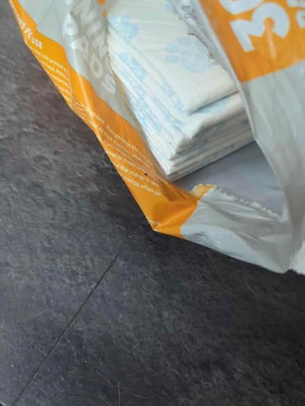 Photo of free Puppy training pads (Chessington KT9) #2