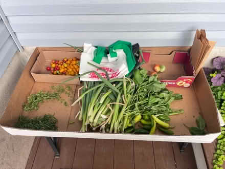 Photo of free garden veggies (Fair Lawn, NJ) #1