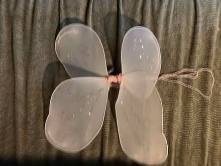 Photo of free Butterfly wings...for costume use (Oakland Piedmont Ave) #1
