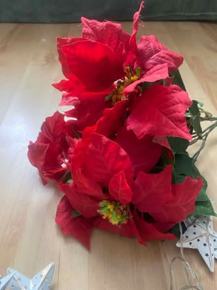 Photo of free Christmas decorations (Mangotsfield BS165) #2