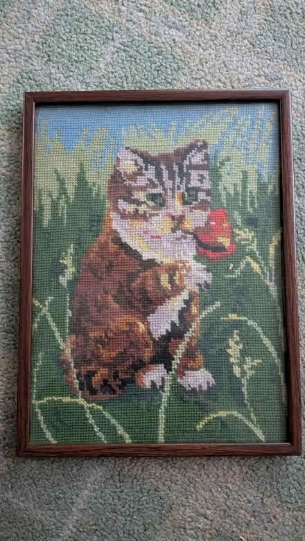 Photo of free Cat Tapestry (Caldy Valley CH3) #1
