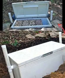 Photo of Chest Freezer (Stanmer BN1) #1