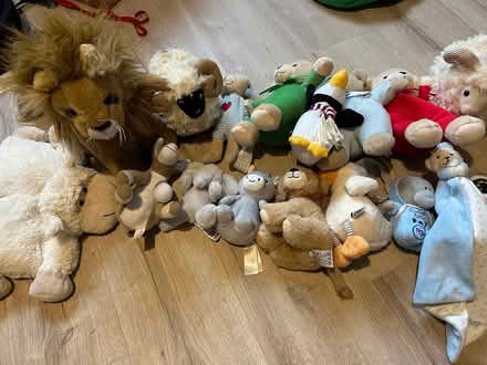 Photo of free Teddys (Stillorgan) #1