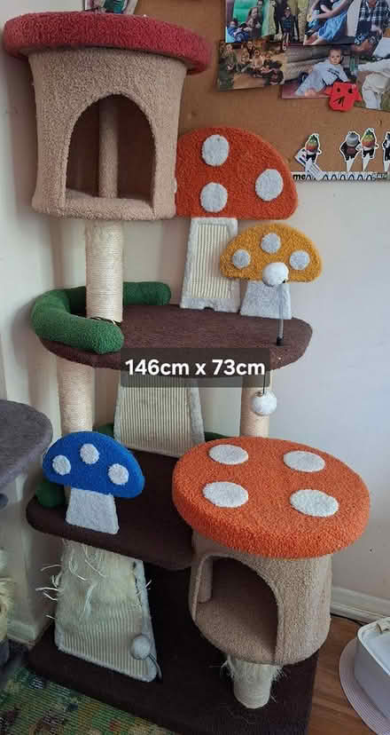 Photo of free Cat trees, Old Woking (Woking, GU22) #1