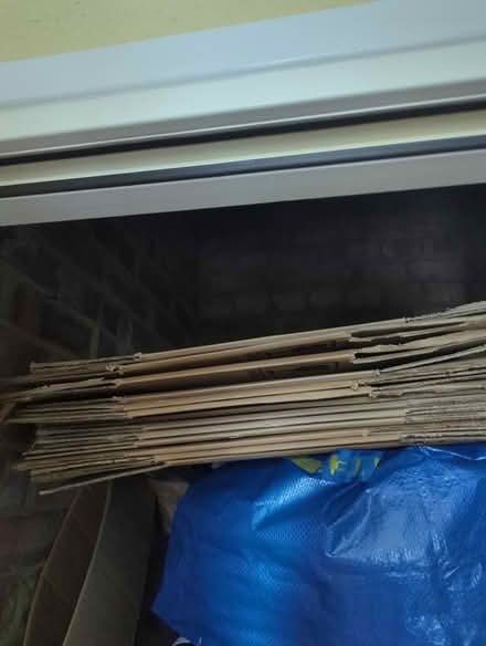 Photo of free 30 boxes and packing material (Haggerston E8) #1