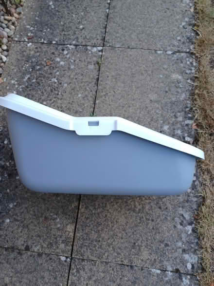 Photo of free Cat litter tray (East Harling NR16) #2