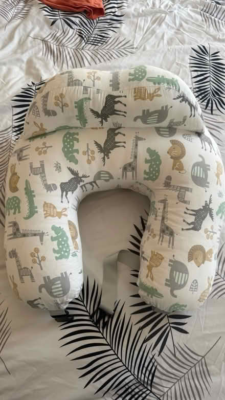 Photo of free Nursing pillow (Dingle L8) #1