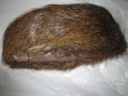 Photo of free fur hat #2 (Old Ottawa South) #2