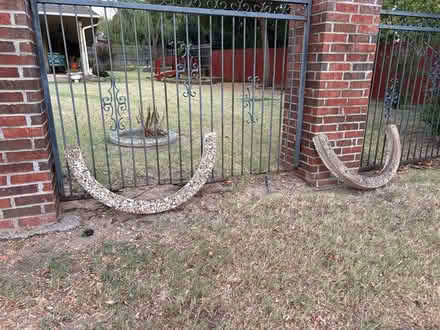Photo of free landscape round borders (East side) #1