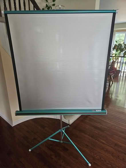 Photo of free Projector Screen (Orleans) #1